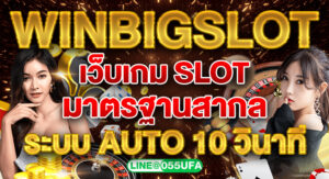 WINBIGSLOT